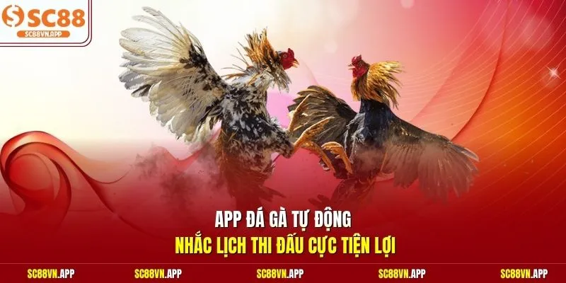 App đá gà tự động nhắc lịch thi đấu cực tiện lợi