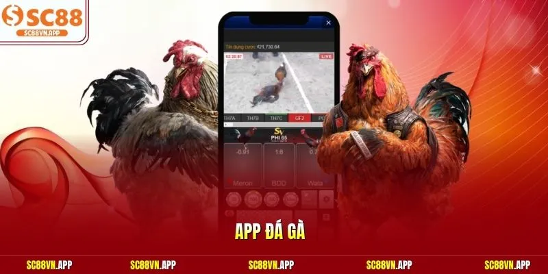 App đá gà