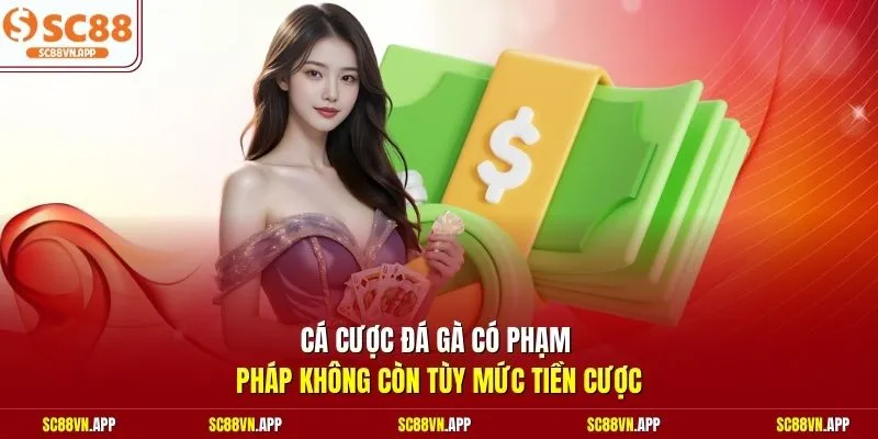 Cá cược đá gà có phạm pháp không còn tùy mức tiền cược