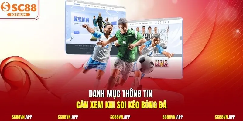 Danh mục thông tin cần xem khi soi kèo bóng đá 