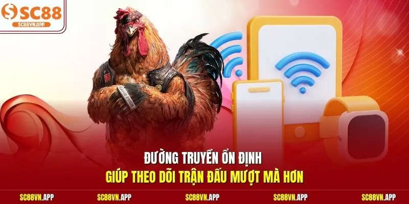 Đường truyền ổn định giúp theo dõi trận đấu mượt mà hơn