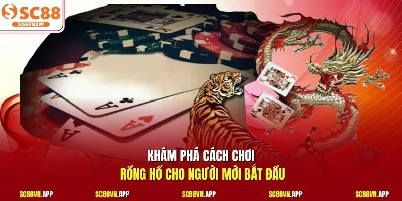 Khám phá cách chơi Rồng Hổ cho người mới bắt đầu 