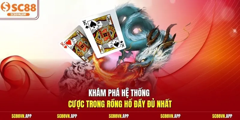 Khám phá hệ thống cược trong Rồng Hổ đầy đủ nhất 