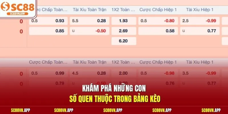 Khám phá những con số quen thuộc trong bảng kèo 