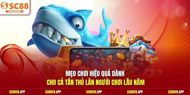 Mẹo chơi hiệu quả dành cho cả tân thủ lẫn người chơi lâu năm 