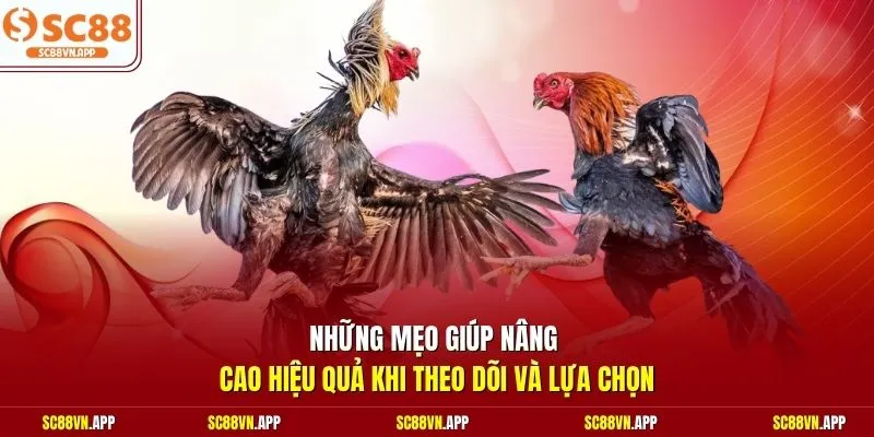 Những mẹo giúp nâng cao hiệu quả khi theo dõi và lựa chọn 